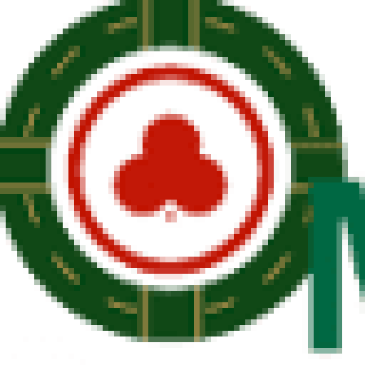 Mejores Casinos Mexico